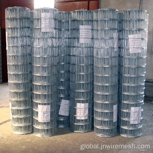 China Galvanized Welded Wire Mesh Manufactory